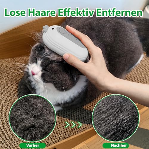 Katzenbürste mit Dampf & Auslöseknopf, Wiederaufladbar Dampfbürste von Katze Hunde, Spray Haustierhaar Bürste, Massage Steamer Kamm für Langhaar und Kurzhaar zum Entfernen Losem Fell und Schmutz