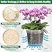 Tetutor 12 Pack Plastic Orchid Pots with Holes, 4, 5, 6 Inch Clear Orchid Pots for Repotting with Saucers Drainage and Plant Stakes, Large Small Breathable Orchids Planter Plant Pot