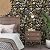 Laatse Vintage Wallpaper Peel and Stick Black Floral Wallpaper 17.5'' x 393'' Gold Leaf Contact Paper Vinyl Waterproof Self Adhesive Boho Botanical Wall Paper for Bedroom Shlef Cabinet Décor