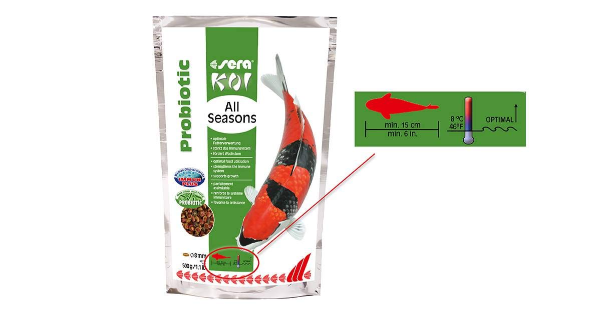 Sera Koi All Seasons Probiotic - Innovador alimento Especial con probióticos (estabilizador homologado de la Flora intestinal «Bacillus subtilis») para Peces Koi a Partir de 15 cm