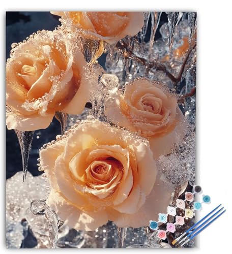 G KN Paint by Numbers AyCgoCio[, DIY hG |pi c[Lbg l q S lC G, MƃANG̋ K ItBX Ƃ̕ǂ̑ ւ̑蕨 30 x 40 cm t