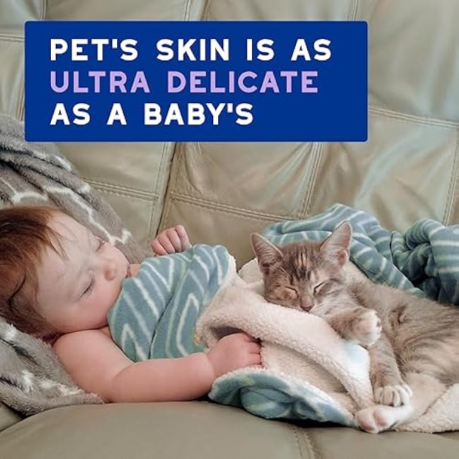 DOUXO? Skin & Coat SPA - Ultra-Safe Low-Stress Refresh Leave-on Mousse for Cats, 10 fl oz, Leaves The Coat Clean, Refreshed, Soft, Radiant and Smelling Great, Skin-Friendly Formula-jK9trURr