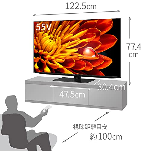 シャープ 55V型 4K テレビ AQUOS XLED 4T-C55EP1 mini LED 量子ドット採用 立体音響 Google TV