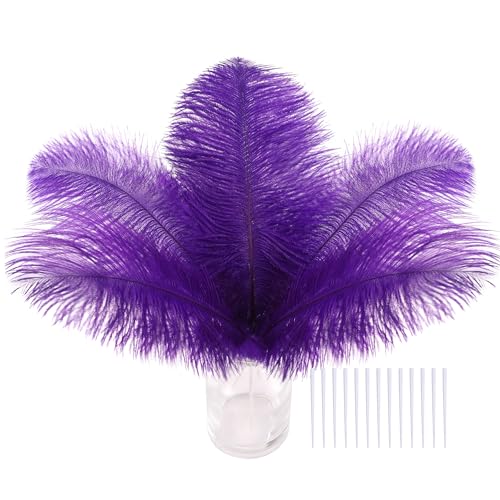 SOGUGOM Purple Craft Ostrich Feathers - 30PCS 6-8 inch Small Ostrich Feathers Kit for Dream Catchers Hats and Mardi Gras(Purple)