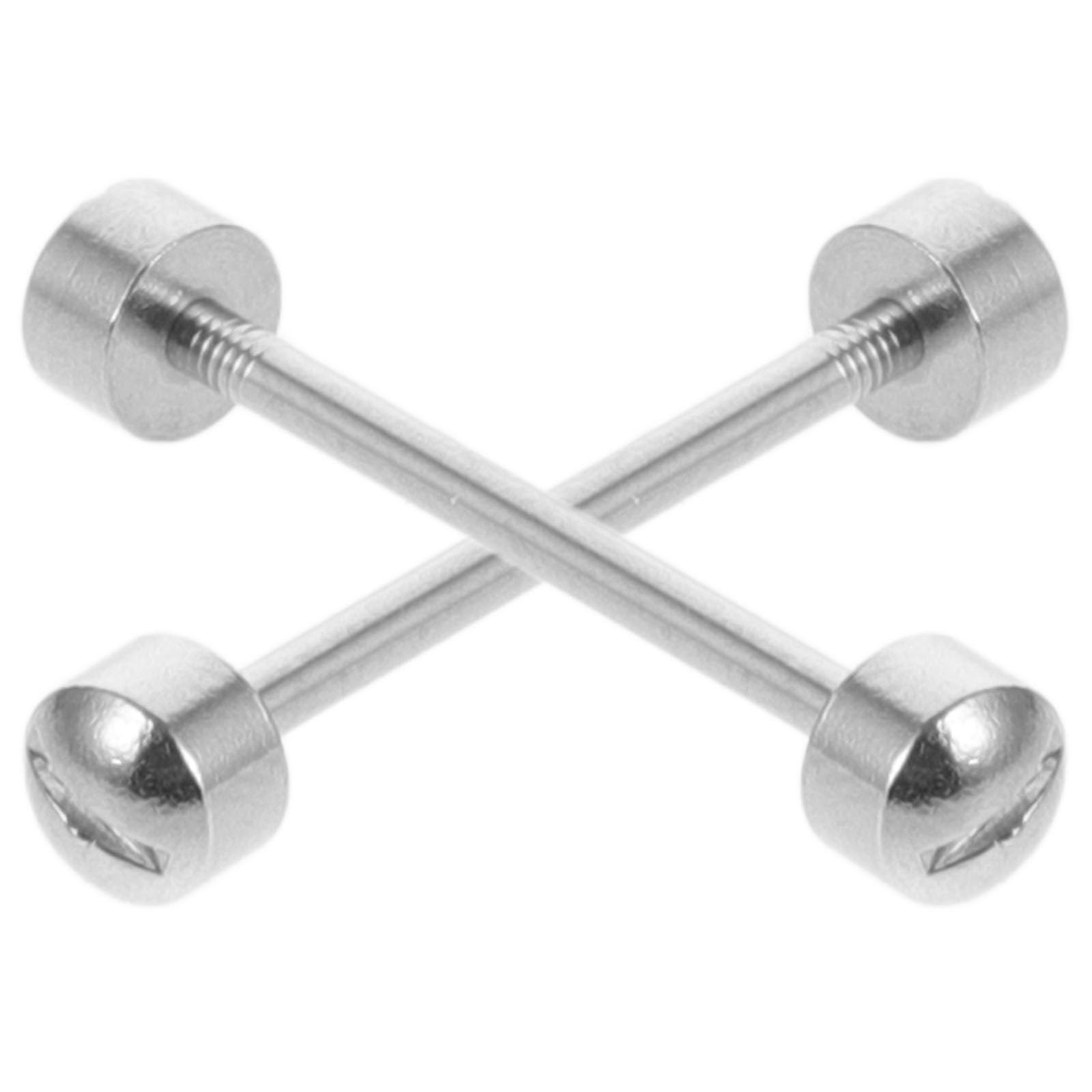VICASKY Tiges de Vis de Montre en Métal Argenté, Facile à Installer, pour Réparer et Connecter Fermoirs et Bracelets de Montre, Lot de 2 Pièces pour Horlogers