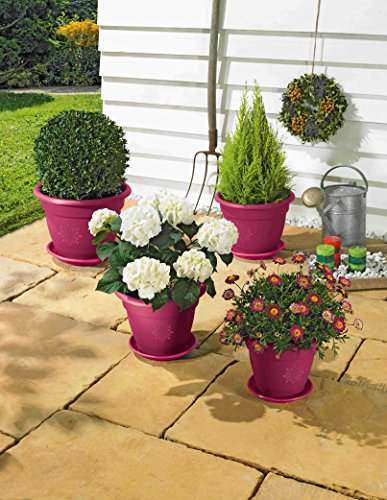 Preisvergleich Produktbild Alpfa Blumentopf - Set 8 tlg. lila - Qaulität Made in Germany