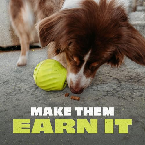 Image of Benebone Ball /Bone Medium /Pawbler Rubber Pet Toys, 3-Pack