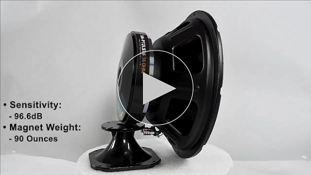 Amazon.com: Harmony Audio HA-P12LS16 Replacement 12