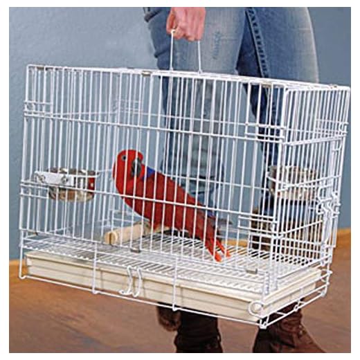 Explore the Vibrant World of Scarlet Macaws in Rainforest - Parrot Cage Tray Liners For Scarlet Macaws