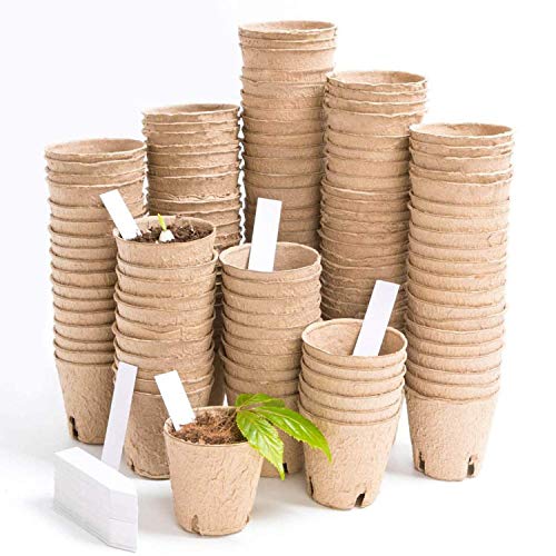 Cardboard Plant Pots Mould