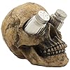 Scaryevilhumanskullsaltandpeppershakersetfigurinedisplaystandholderforspookyhalloweenpartydecorationsgothickitchendecorcollectibleornoveltygiftsbyhomengifts  Urban Country Home Decor Scary evil human skull salt and pepper shaker set figurine display stand holder for spooky halloween party decorations gothic kitchen decor collectible or novelty gifts by home n gifts  urban country home decor