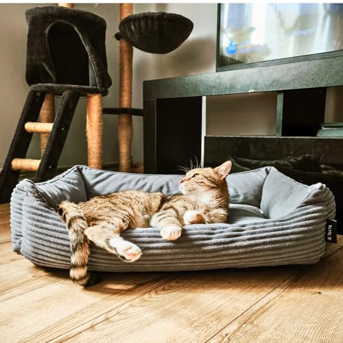 4L Textil Molly Katzenbett flauschig Katzenkörbchen Katzensofa Kuscheliges Hundebett kleine Hunde Katzenkorb waschbar Hundekorb für Welpen Grau (60x40 cm, Grau)