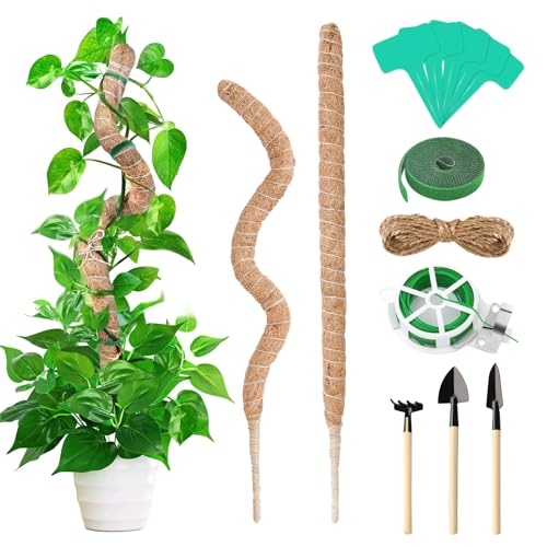 Anevios 2 Piezas Tutores para Plantas 120 cm con 20m Cinta para Plantas y Herramientas de Jardín Palo de Totem de Coco Plantas Trepadoras para Plantas de Interior Soporte Plantas Trepador