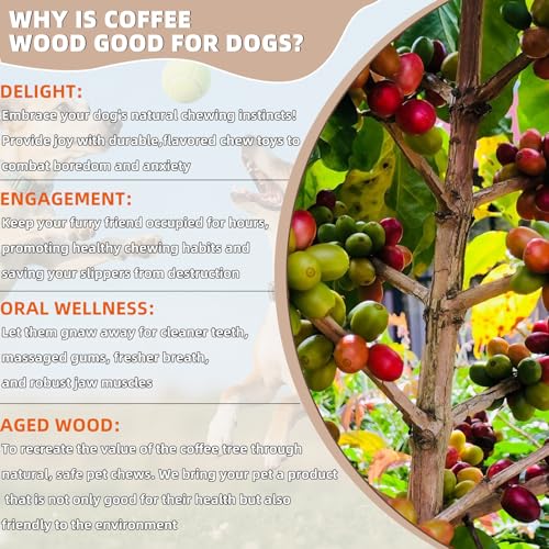 3 Stück Kaffeeholz für Hunde, Kaustab Kauholz, Kaffeeholz Kauholz, Natürliches Kauholzs, Natürlicher Kaffeehol, Holzknochen als Hundespielzeug für Welpen, Sicherer Kauspaß für kleine und große Hunde