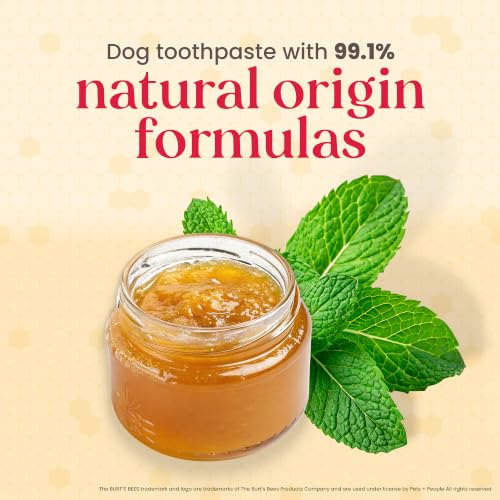 Burt's Bees for Pets Peppermint Puppy Dental Kit with Toothbrush & Toothpaste, 2.5 Oz - image 4