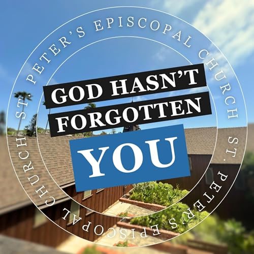 Discover the God Who Sees You, Calls You, and Sets You Free | The Rev. Susan Astarita cover art