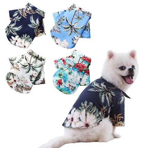 RIOSTUDIO IX^WI   ėp tėp iXS`5XLTCYWJjAnVc V̖؃vg h UVJbg  R ^ ^ ^(FV̖؂̕×ubN,S)