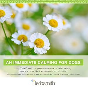 Herbsmith July Third  Canine Calming Chews  Calming Herbs for Dogs  Anxiety Supplements for Dogs  30ct Small Chews  Cucciolini Doodles Herbsmith july third  canine calming chews  calming herbs for dogs  anxiety supplements for dogs  30ct small chews   cucciolini doodles