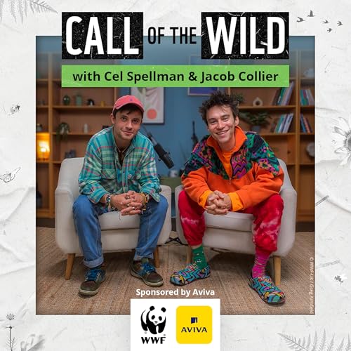 Jacob Collier’s Call of the Wild