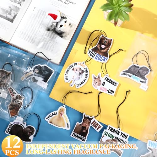 Image of Siifert 12 Pcs Driver Appreciation Week Gifts Bulk Funny Car Air Freshener