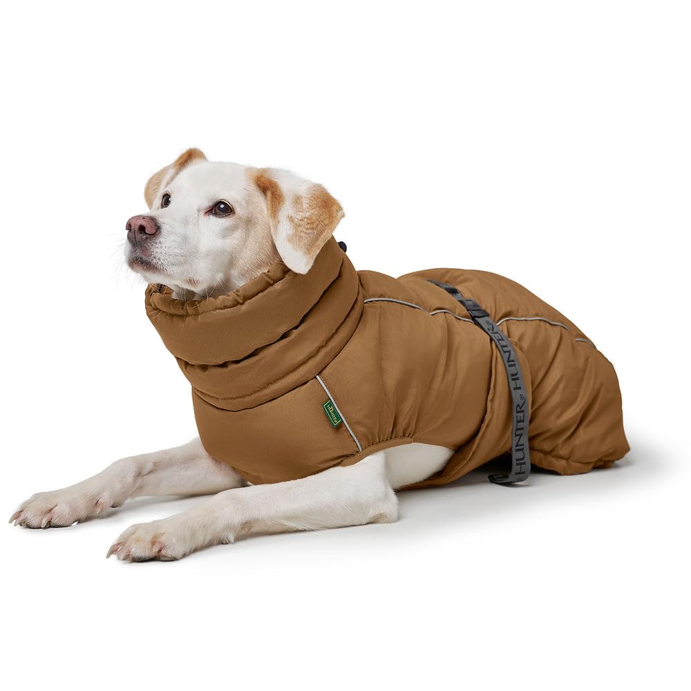 Abrigo para perro Paxson, color azul paloma, talla 45