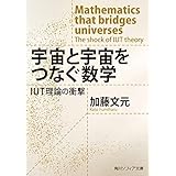宇宙と宇宙をつなぐ数学　IUT理論の衝撃 (角川ソフィア文庫)