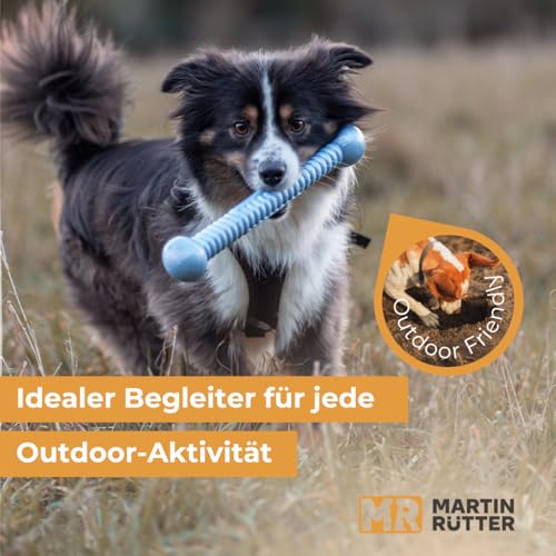 Martin Rütter FUNSTIX Stöckchenersatz für Hunde Größe: S, Farbe: Neongelb – Flexibler & sicherer Apportierstab aus TPE – Schwimmfähig, robust & lebensmittelecht