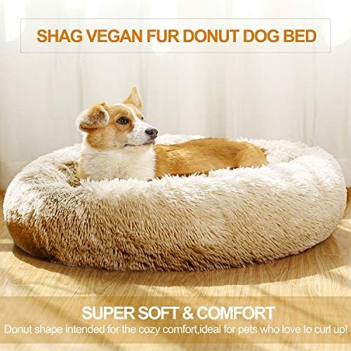 Dog bed with removable pillow Clearance