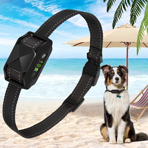 The 11 Best Bark Collar For Chihuahua In 2023 Top Picks & Reviews