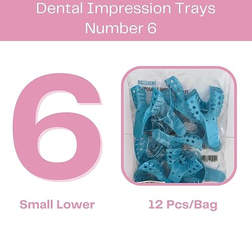 Miniatura 2 de Bandejas dentales perforadas desechables de impresión bolsa de 12 piezas (# 6 pequeño inferior)