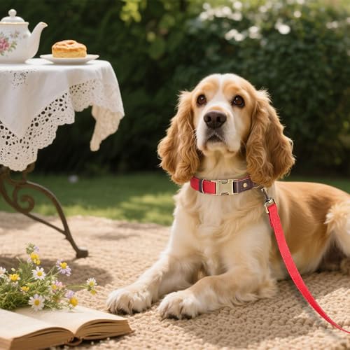 Didog Weich gepolstertes Lederhalsband für mittelgroße Hunde, klassisches Hundehalsband mit Metall-Schnellverschluss, verstellbar, mittelgroß, Kunstleder, Rot, M