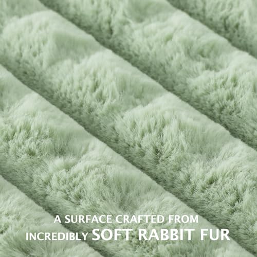 BVAGSS Flauschiges Orthopädisches Hundebett, Waschbar Hundematte, rutschfeste Unterseite, Plüsch Hundekissen Weiche und Warme Hundematte für klein mittel große Hunde XH082 (60x45cm,Grün)