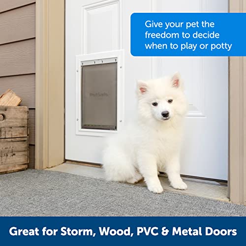 PetSafe Extreme Weather Dog and Cat Door Aluminum Frame Pet Door