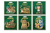 Imanes de recuerdo de Irlanda para nevera, juego de 6 unidades, metal esmaltado, diseños irlandeses, duende, escudo de Dublín, taza de cerveza, recuerdo de la suerte (imán 6)