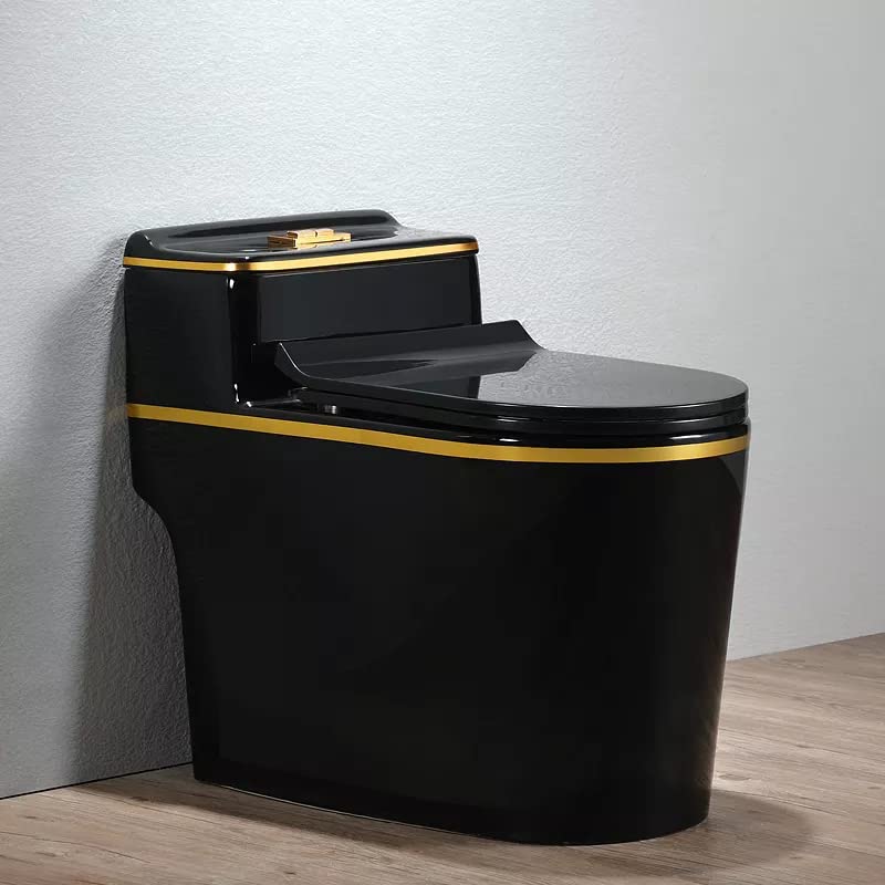 B Backline Ceramic One Piece Western Toilet With Tank/Commode for Toilet/European Commode/Water Closet With Soft Close Toilet Seat S Trap 12" Outlet Is From Floor (Black Gold) (B0DCVFR8FX) Amazon Price History, Amazon Price Tracker