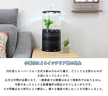 再値下げ！ オーバーフロー 小型円柱水槽 溢水 LED専用照明付き フルセット Amazon | 溢水 いっすい【スターターセット】issui 小型円柱