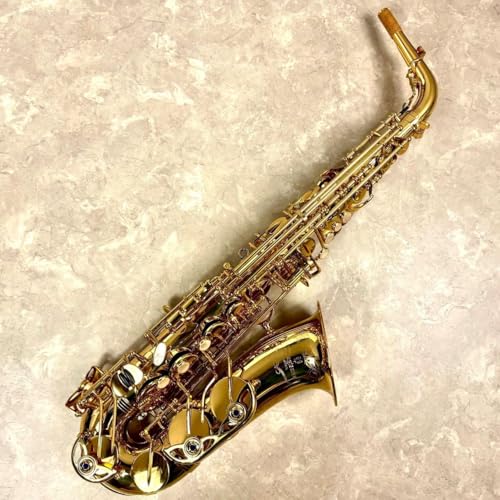 Amazon | YANAGISAWA A-WO10 アルトサックス ブラス製 ヘヴィー仕様
