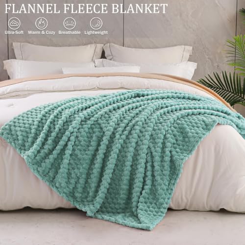 Image of Exclusivo Mezcla 3D Fleece Queen Size Blanket for Bed, Celadon | Extra Soft Fuzzy Plush Lightweight Bed Blankets, Cozy Fluffy Decorative Blankets for All Seasons, 90x90 Inches