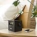 Philips AJT4400B/37 Bluetooth Speaker Clock Radio
