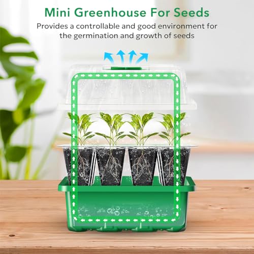 Image of HASTHIP 5Pcs Germination Tray Seed Germination Tray Plastic Seedling Plant Grow Tray Kit with Lid, Seed Starter Microgreen Growing Trays with 12 Cell Seedling Tray Tools