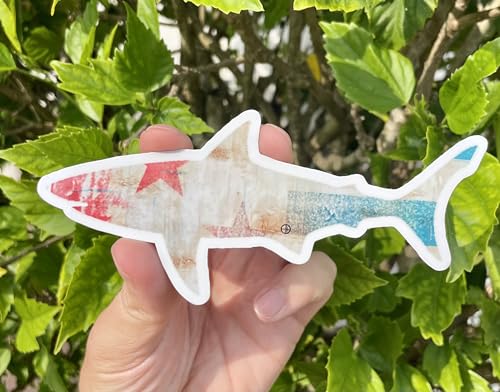 Sticker requin pour voiture pour couvrir les petites rayures