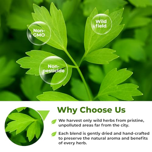 Image of 50 Bags Lovage Leaf Herb Tea (Levisticum Officinale) - 50 Count 1.5g Herbal Bags Hoja De Levistico