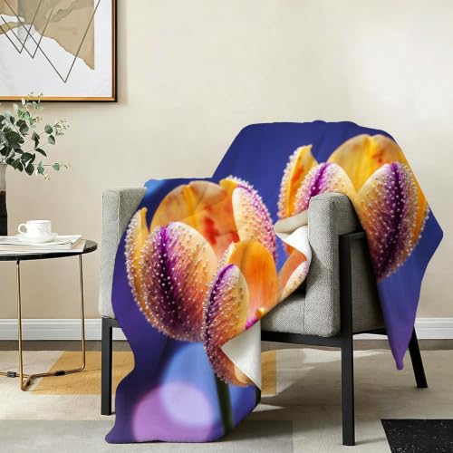 Couverture Polaire Tulipes 3D 240x260 cm pour lit et canapé