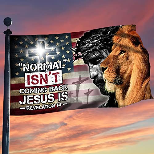 V Vibepy 3X5 Ft Flag, Yard Flag, 3X5Ft Flag, Christian 3X5Ft Flag, Religious 3X5Ft Flag, Lion Flag Gift, Cross Flag, Outdoor Flag, Christ Flag #TOP2