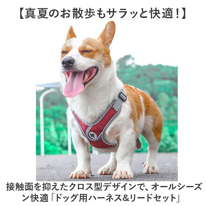 DOG  XSサイズ ハーネス・リードセット Amazon.co.jp: 犬 ハーネス リード付き XSサイズ グレー