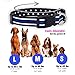 Native Pup Thin Blue Line Dog Collar- Stars (Small)