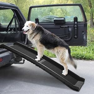 COZIWOW Folding Dog Ramps, 62”L Portable Pet Ramp for Large Dogs SUV,Cars,Lightweight Cat Ramp Non-Skid Surface Steps for High Bed,Stairs,Couch-Easy Storage,Supports up to 150 lb(Black, 62" L) COZIWOW Folding Dog Ramps 62L Portable Pet Ramp for Large Dogs SUVCarsLightweight Cat Ramp Non Skid Surface Steps for High BedStairsCouch Easy StorageSupports up to 150 lbBlack 62 L
