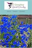offre des épis un peu lâches, d'aspect léger, garnis de fleurs simples, d'un bleu azur intense, remarquable. elles se renouvellent inlassablement de juin à septembre, dominant une plante bien buissonnante ornée d'un feuillage très finement découpé. Facile à réussir en sol frais et humifère, avec la tête au soleil, ce pied d'alouette vivace est également plus résistant aux maladies et aux parasites.