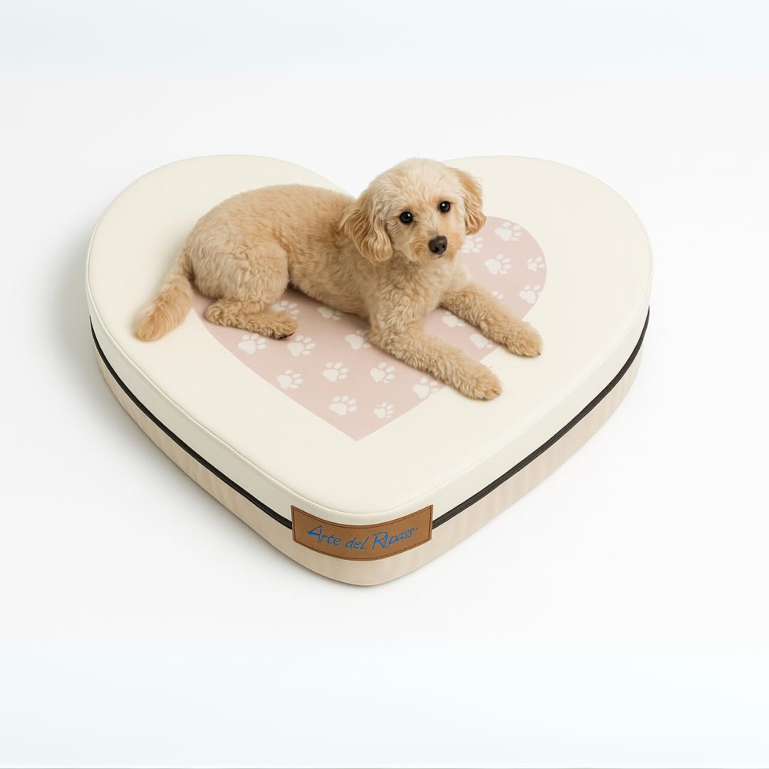 Generico Cuccia Cane Interno Memory Foam Ortopedico a Forma di Cuore – Sfoderabile, Lavabile, 4 Taglie – Personalizzabile con Nome – Made in Italy (panna, M)