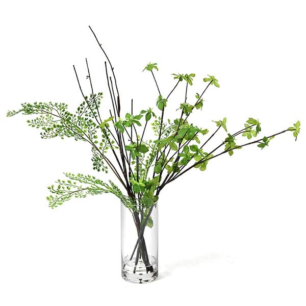 Amazon｜GREENPARK ドウダンツツジ ミックス Water H60cm 観葉植物